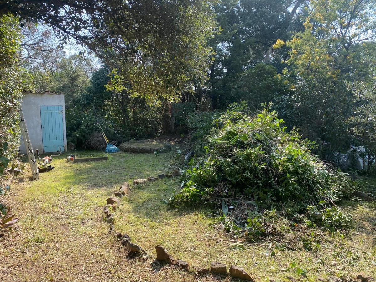 Holiday home La Muscadiere
